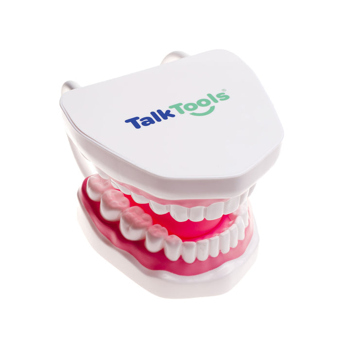 TalkTools Mouth Demonstrator